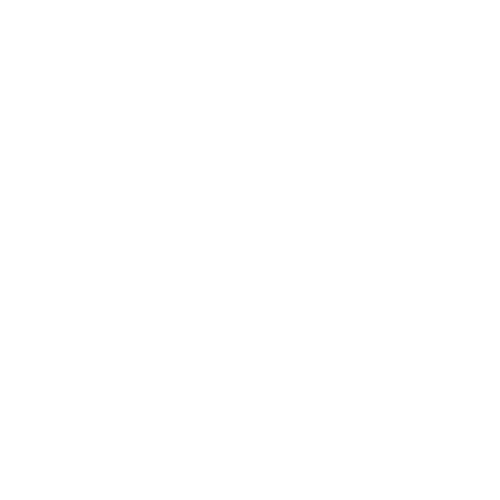 Lichess logo